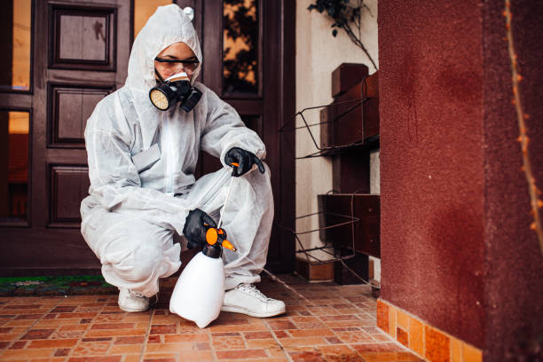 Attic and Crawl Space Rodent Treatment in Pierz