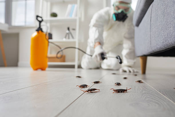 Commercial Rodent Management in Pierz